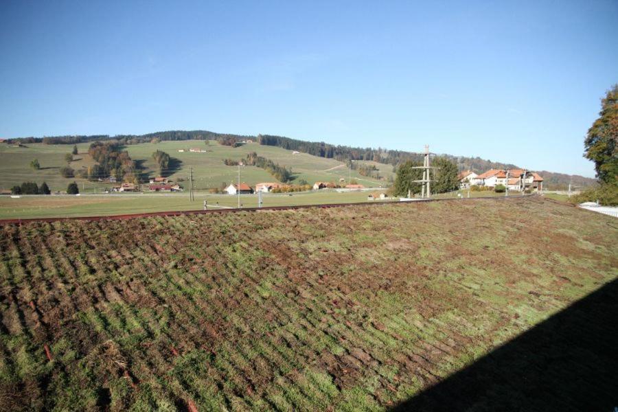 Wego Hotel Vuadens Esterno foto